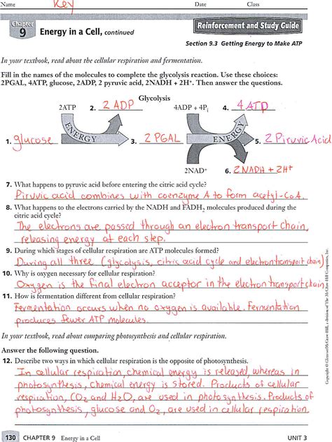 9th Grade Science Study Guide