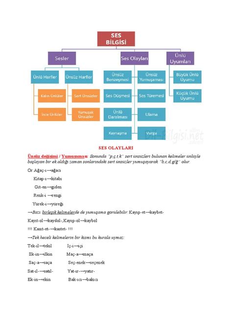 Aöf türkçe ses bilgisi pdf