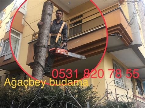 codini.rgarabwor.edu.pl. 