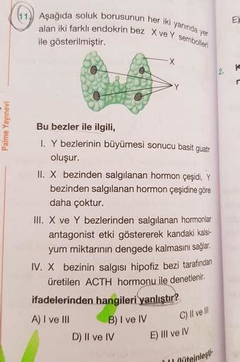 Aşağıda yer alan bağlantılar ile 8.