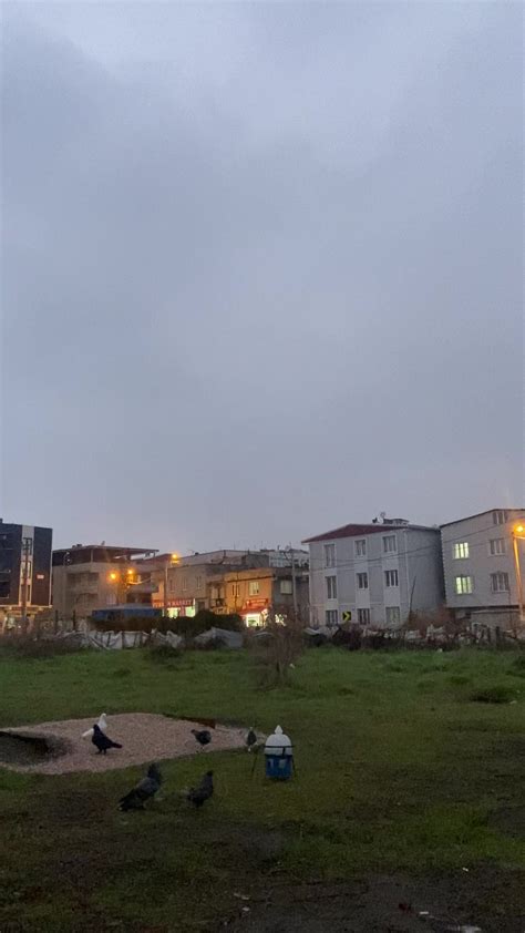 Aşk Acısını Unutmak: Gemlik'te Eğlenceli Anlar TikTok.