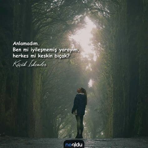 Aşk acısı ️ Küçük İskender Sözleri Facebook.