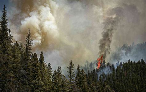 A ‘Perfect Recipe for Extreme Wildfire’: New Mexico’s Record-Breaking, …