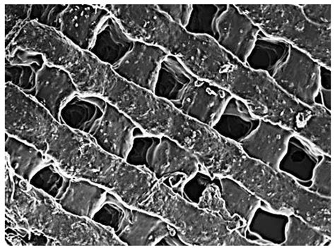 A 3D-Printed Biomaterial Scaffold Reinforced with Inorganic Fillers for ... - wintechmobiles.com