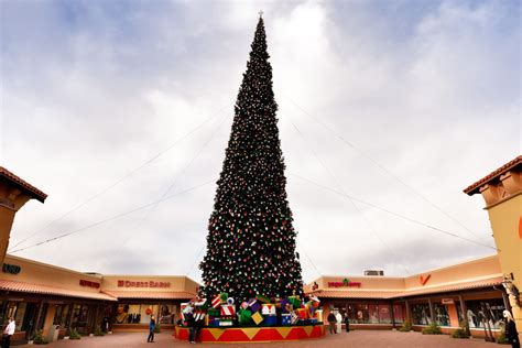 A 55-foot Christmas tree will be displayed in Castle Rock