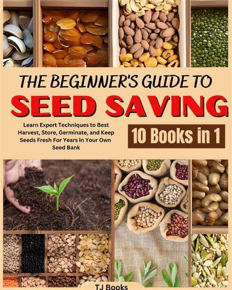 A Beginner’s Guide to Seed Collection - Red-tail Land Conservancy - raincitystudios.com