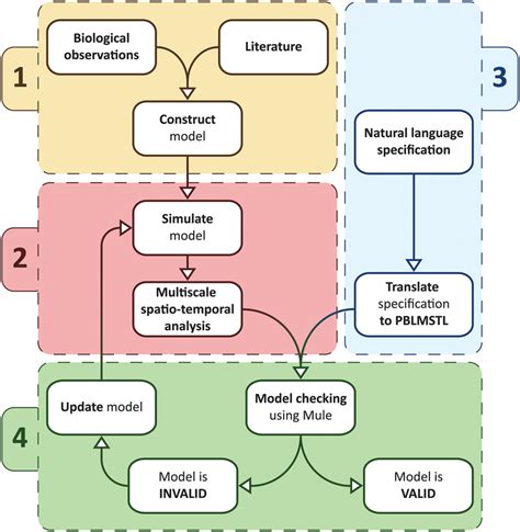 A brain-inspired computational model for spatio-temporal information ... - coolestguyplanet.net