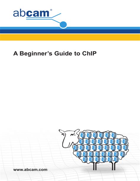 A Beginner s Guide to ChIP