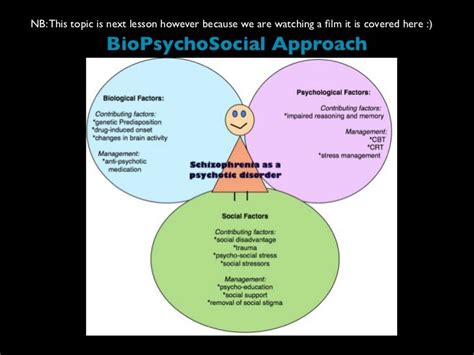 A Biopsychosocial Model of Schizophrenia - JSTOR