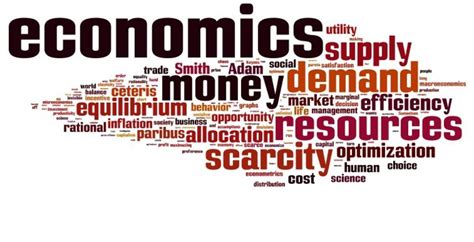 A Brief Discussion of Ecoonomics