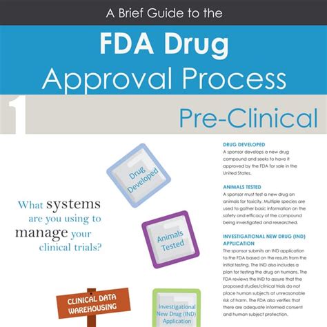 A Brief Guide to the FDA Drug Approval Process