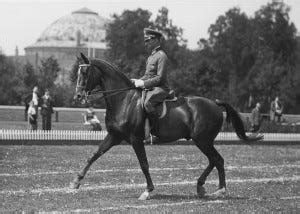 A Brief History of Dressage