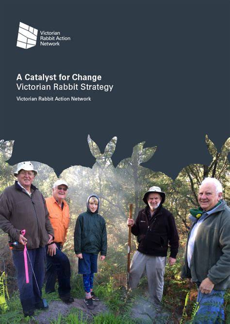 A Catalyst for Change Victorian Rabbit Strategy - raincitystudios.com