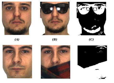 A CBR system for efficient face recognition under partial occlusion