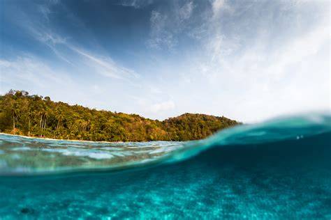 A climate risk index for marine life | Nature Climate Change - raincitystudios.com