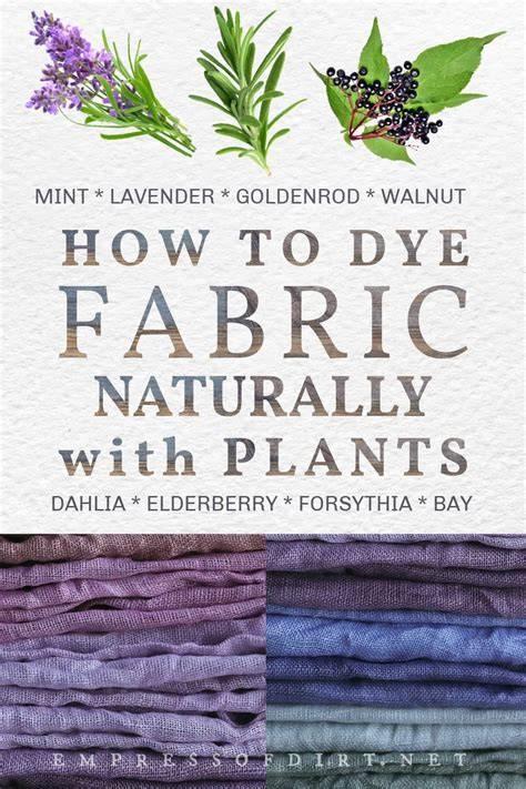 A color guide to the best plants for dyeing fabric and ... - Inhabitat - raincitystudios.com