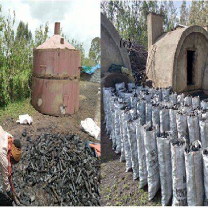 A comparison of traditional and improved basic earth charcoal kilns in ... - raincitystudios.com