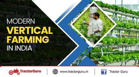 A Complete Guide To Modern Vertical Farming in India - raincitystudios.com