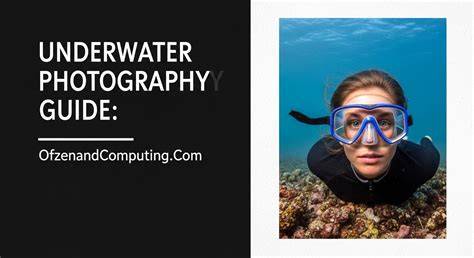 A Complete Guide To Underwater Photography - raincitystudios.com