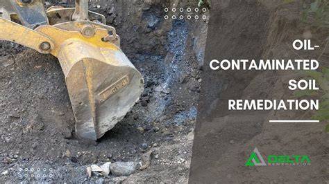 A comprehensive guide of remediation technologies for oil … - raincitystudios.com
