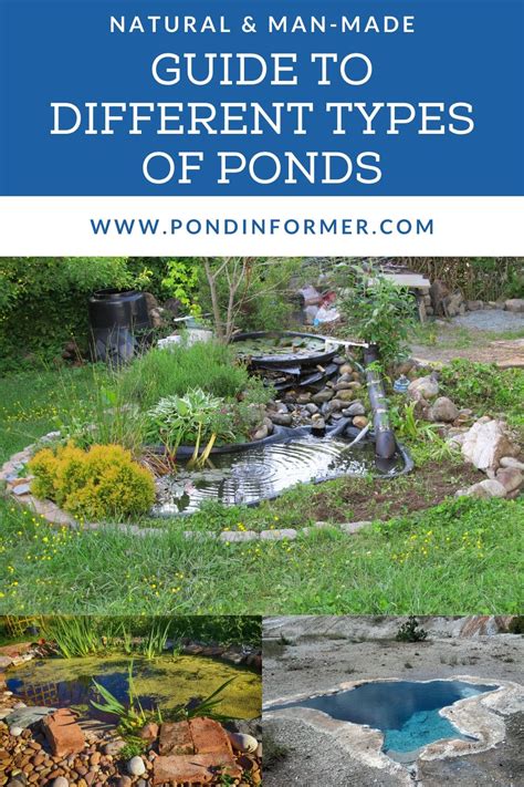 A Comprehensive Guide to the Different Types of Ponds - Feed - raincitystudios.com
