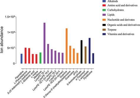 A comprehensive insight into the metabolic landscape of fruit pulp ... - raincitystudios.com