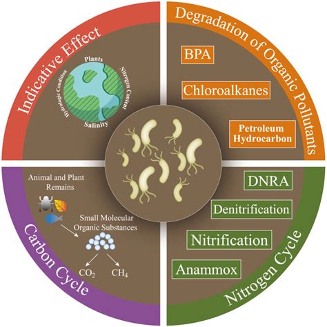 A critical review of the remediation of PAH-polluted marine sediments ... - raincitystudios.com