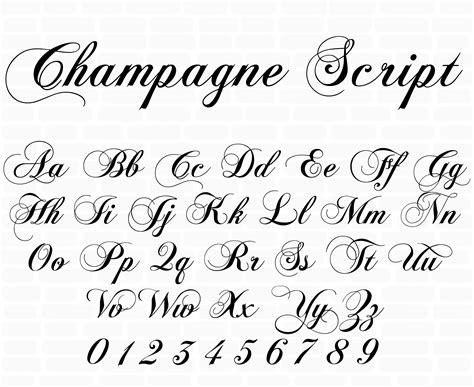 A Calligraphic Script Font; This Alphabet Has a Modern but Slightly