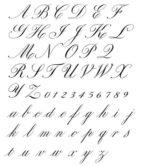 A Calligraphy Guide for the Beginners All About Fonts and Alphabets