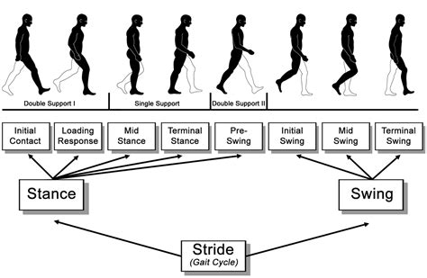 A Comparison of Gait With Solid Dynamic