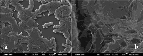 A Composite Magnetosensitive Sorbent Based on the Expanded …