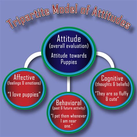 A Comprehensive Study on Attitudes