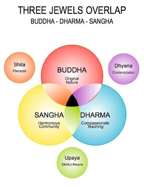 A Conceptual Assimilation Between Ayurveda and Buddhist Theories