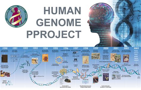 A decade of human genome project conclusion: Scientific ... - PubMed - muktibox.com