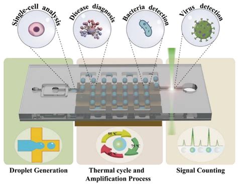 A Digital Microfluidics-Based Single-Cell ddPCR Platform for High ... - muktibox.com