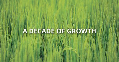 A Decade of Growth Bailey & Weiler Design/Build Bloom Magazine