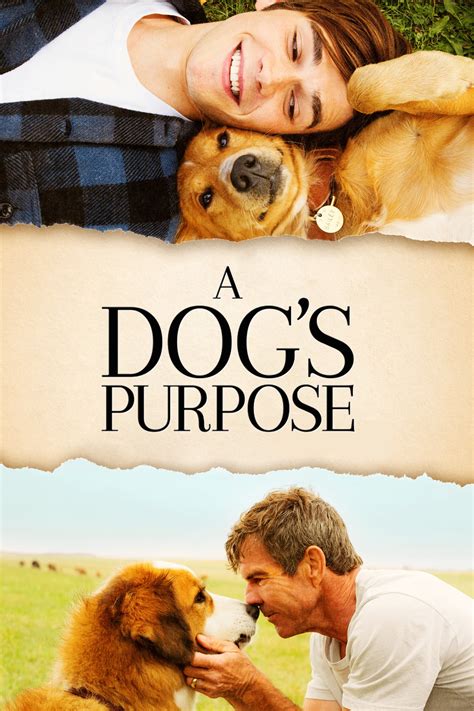 A Dog's Purpose
