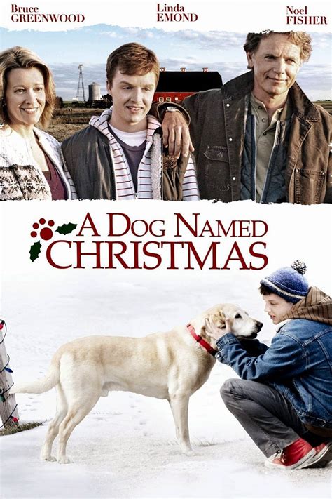 A Dog Named Christmas With Cbd