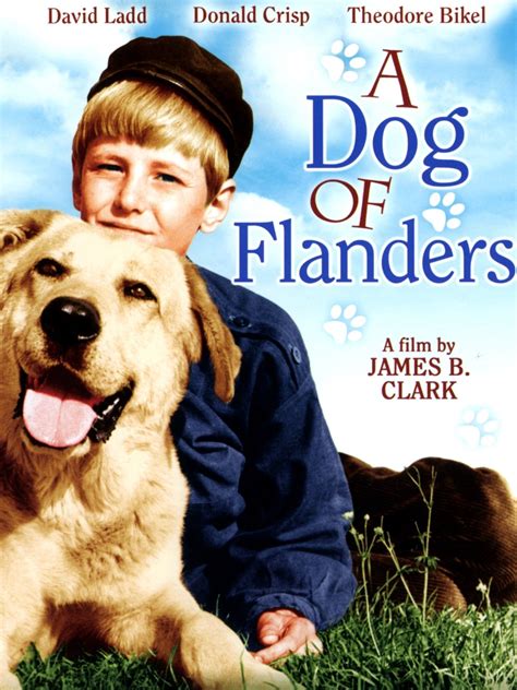 A Dog of Flanders
