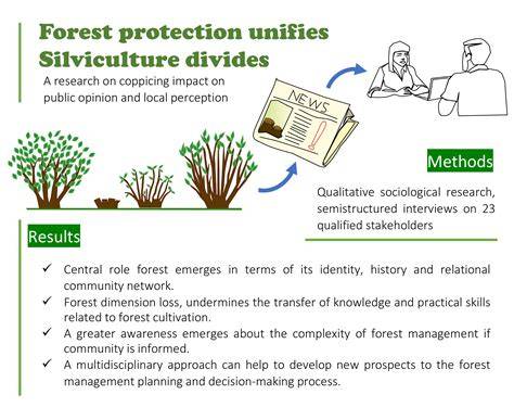 A financial analysis of rain forest silviculture in southwestern Sri ... - raincitystudios.com