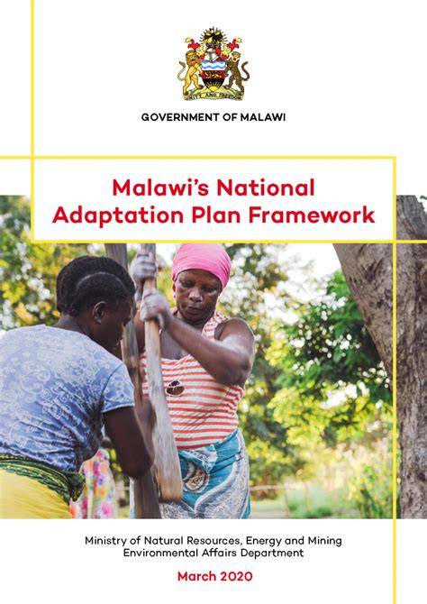A FRAMEWORK FOR MONITORING PROGRESS ON MALAWI’S NATIONAL FOREST ... - raincitystudios.com