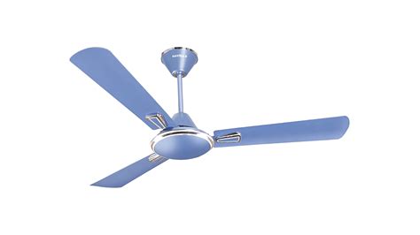 A Fan Onlyfans Leak