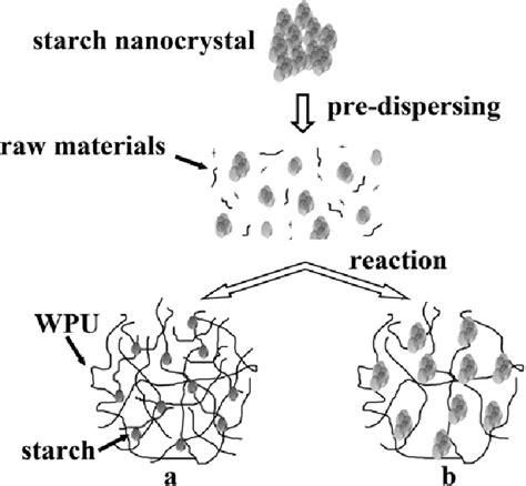A Fast and Efficient Approach to Prepare Starch Nanocrystals From