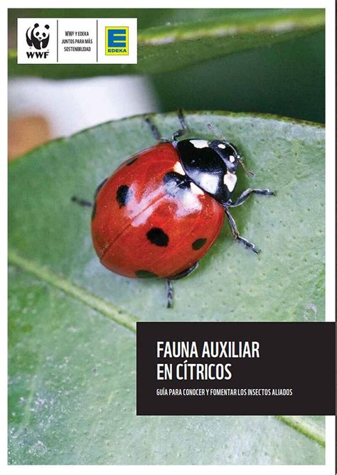 A Fauna Auxiliar 120317