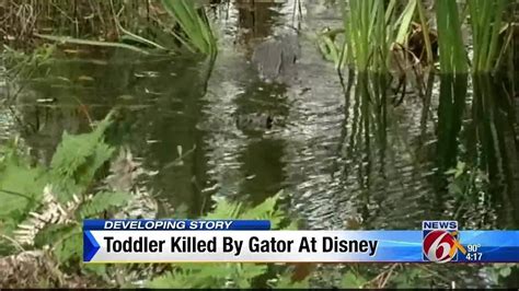 A Florida toddler found in an alligator’s mouth died of drowning, police say