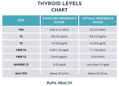 A Functional Medicine Hashimoto Treatment Protocol Testing
