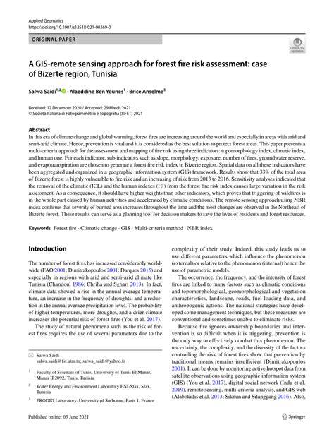 A GIS‐remote sensing approach for forest fire risk ... - ResearchGate - raincitystudios.com
