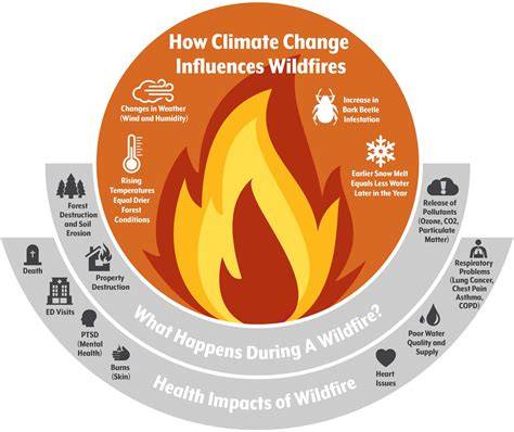 A global outlook on increasing wildfire risk: Current policy situation ... - raincitystudios.com