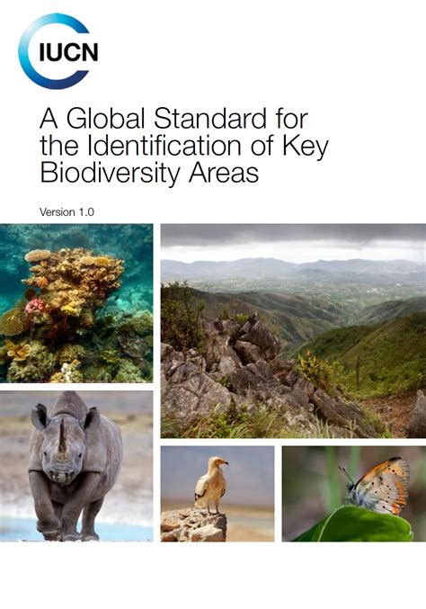 A Global Standard for the Identification of Key Biodiversity Areas - raincitystudios.com
