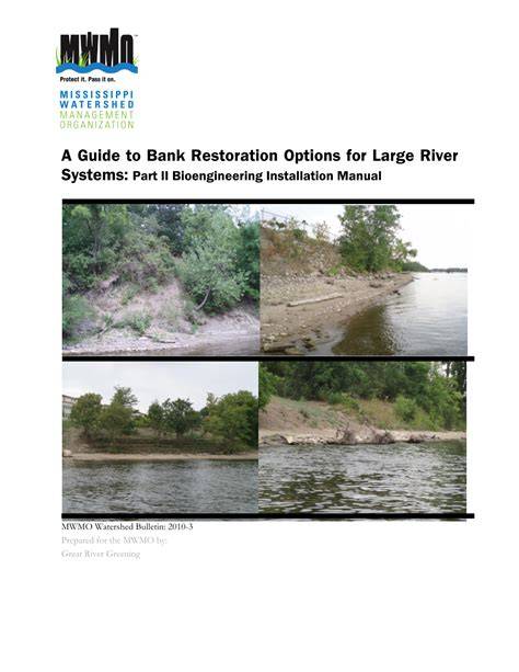 A Guide to Bank Restoration Options for Large River - raincitystudios.com